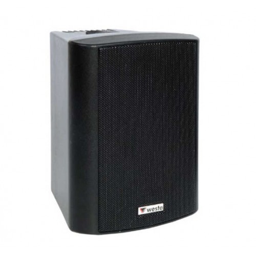WESTA WS-5TB 13CM HAT TR. PLASTİK KABİN HOPARLÖR SİYAH 125TW