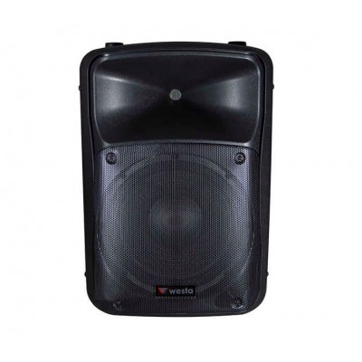 WESTA WSS-1555 15" KABİN HOPARLÖR - PASİF WESTA WSS-1555 15" KABİN HOPARLÖR - PASİF
